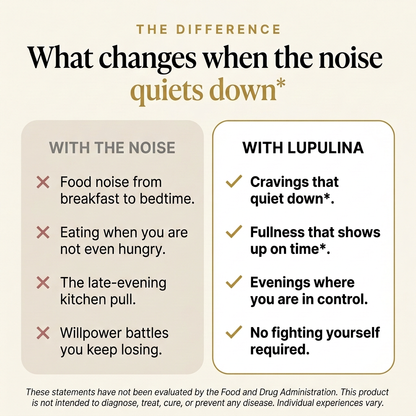 What changes when the food noise quiets down